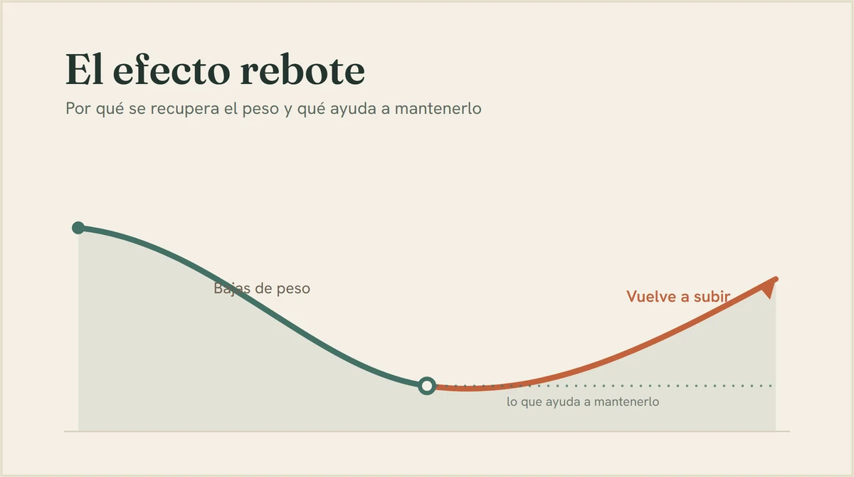 Portada del artículo: El efecto rebote: por qué se recupera el peso y qué ayuda a mantenerlo